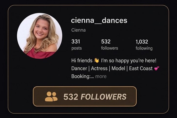 cienna__dances Instagram profile before: 532 followers